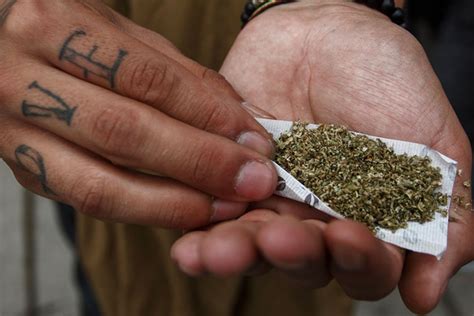 La marihuana es la droga más consumida en Agüitas | ¡El Aguas!