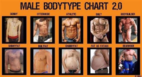 Body Type Chart For Men This Is Pretty Funny Body Types Chart Athletic Body Types Ideal Body