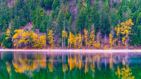 Download Wallpaper 1920x1080 Forest Trees Autumn Lake Reflection