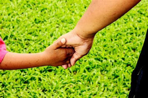 Adults And Children Holding Hands Stock Photo Image Of Green Limb