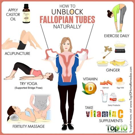 Blocked Fallopian Tubes Causes Treatment Prevention And Symptoms