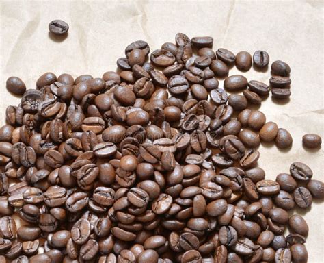 Coffee Grains Stock Image Image Of Heap Caffeine Morning 31255003