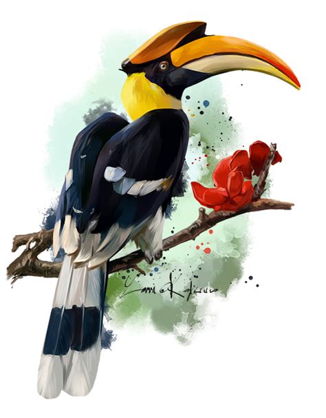 Rhinoceros Hornbill Png Isolated Hd Png Mart