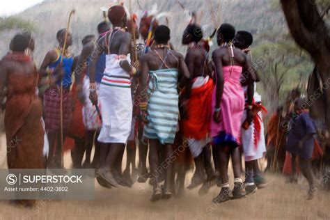 Samburu Tribesman Dancing To Celebrate The Mass Circumcision Of The