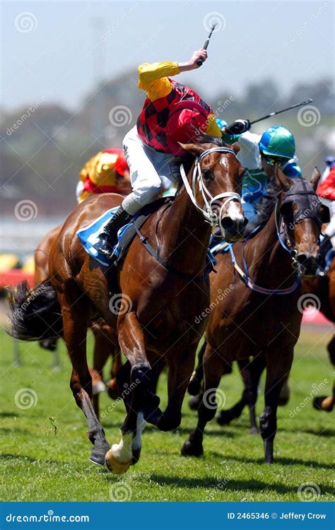 Horse Racing Winning Royalty Free Stock Image Image 2465346