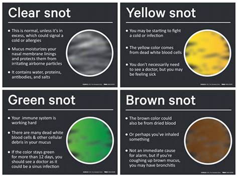 Nasal Mucus Color Chart