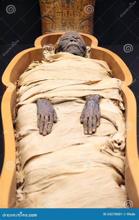 Egyptian Mummy Stock Image Image Of Egypt Body Burial 24270001