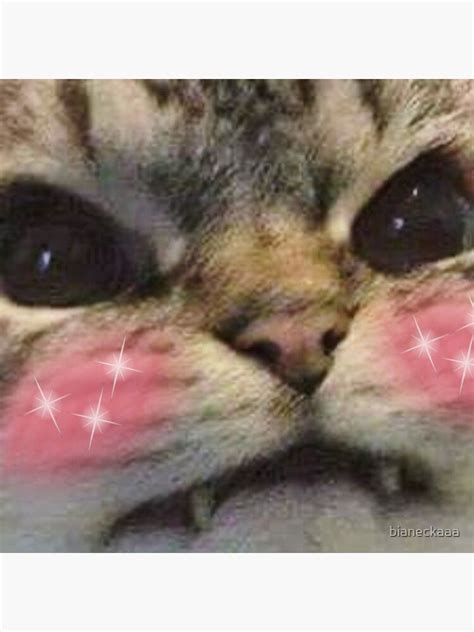 Kawaii Angry Cat With Pink Blush Reaction Pic Sticker By Bianeckaaa