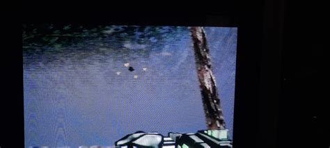 Anyone Else Ever Spotted This On The Treetop Village Level Of Turok