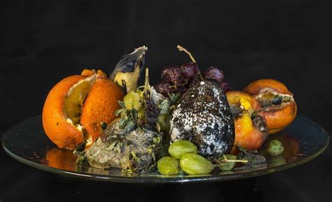 Putting moldy food in your compost or worm bin. Can I Put Moldy Food in My Compost or Worm Bin? - Do Not ...