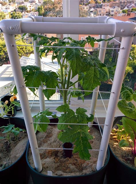 Diy Collapsible Tomato Cages For Containers Mikes Home Garden