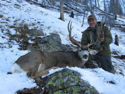 Idaho Mule Deer Michigan Sportsman Online Michigan Hunting And