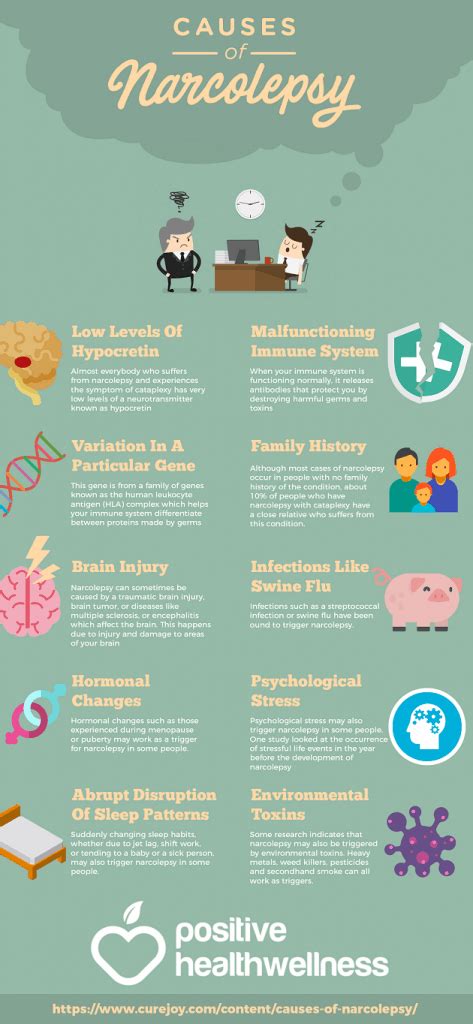 10 Causes Of Narcolepsy Excessive Daytime Sleepiness Infographic