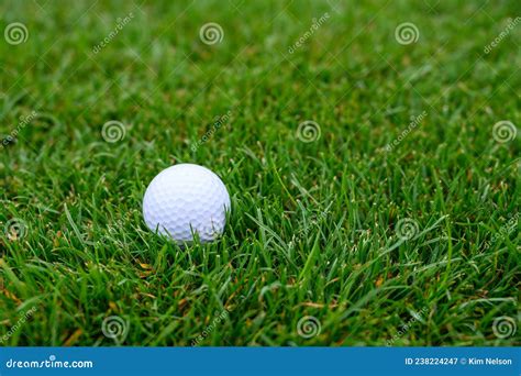 Lush Green Golf Course Grass In The Rough With A White Golf Ball Ready