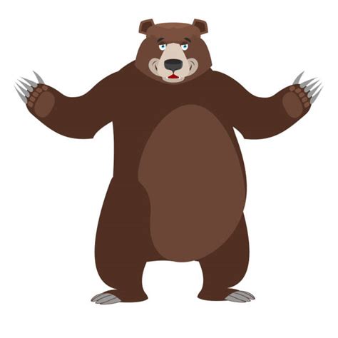 Best Bear Standing Illustrations Royalty Free Vector Graphics And Clip