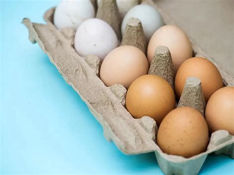 Huevos De Pato Cómo Cocinarlos Y Características Principales Innaturale