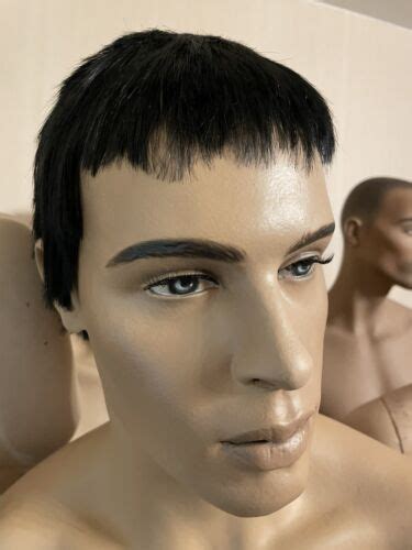 Adel Rootstein Male Mannequin Hardcap Wig Only 1 Ebay