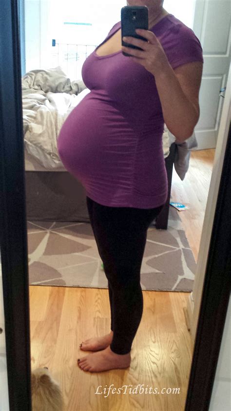 six month pregnant belly size pregnantbelly