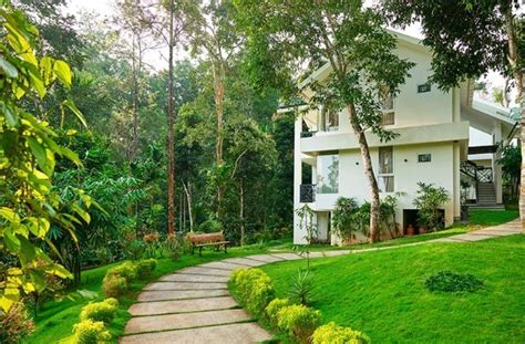 Nature Resorts In Wayanad The Woods Resorts