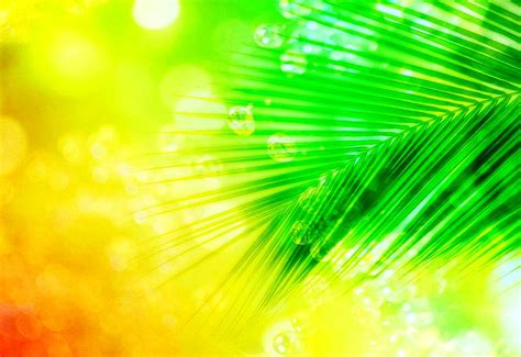 Wonderful Abstract Green Yellow Background Photo Download Best Free