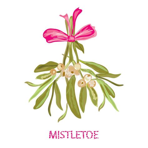 Hand Drawn Mistletoe Stock Vector Illustration Of Artistic 78664694