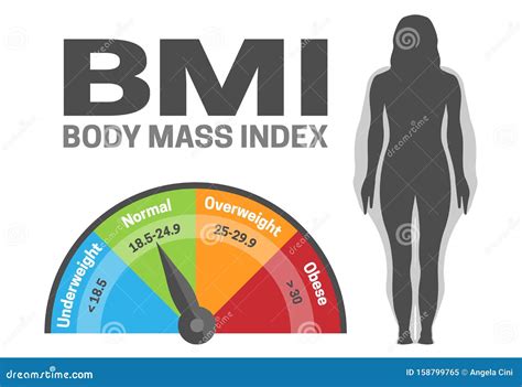 Bmi Body Mass Index Infographic Vector Illustration With Woman