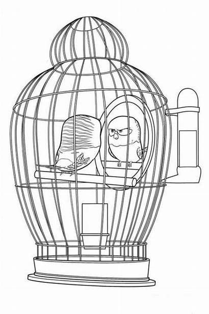 Secret Pets Coloring Pages Cage Parrot Raskrasil