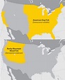 Rocky Mountain Spotted Fever Map – Map Of The Usa With State Names