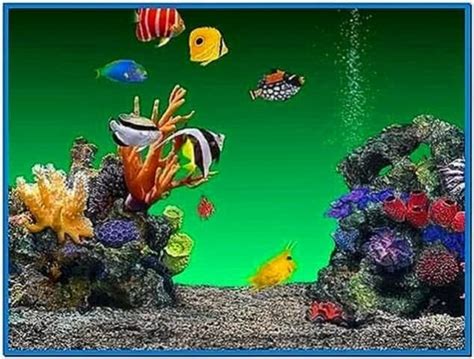 Aquareal 3d Aquarium Screensaver Download Screensaversbiz