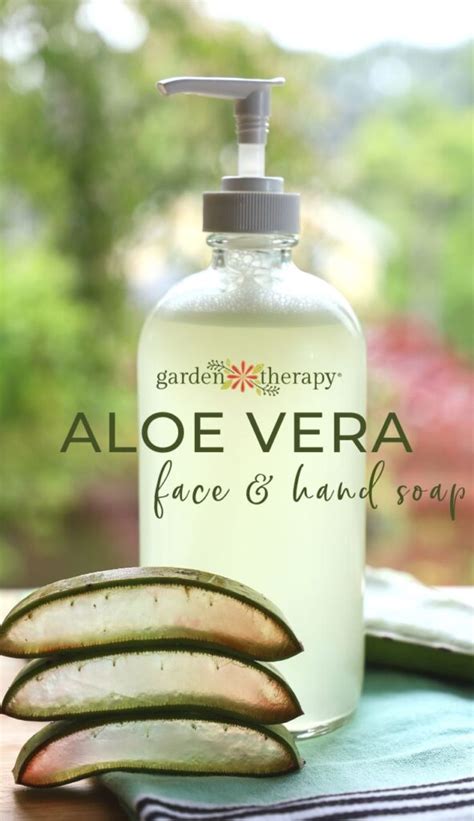 How To Make Aloe Vera Soap Skin Soothing Recipe