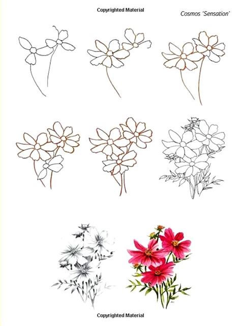 Dibujos De Flores Y Rosas Fáciles Paso A Paso 🙂