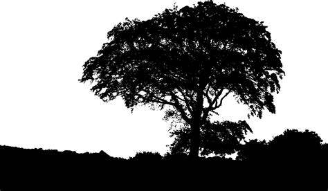 Landscaping Silhouette Png Pic Png Mart