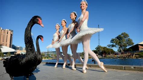 Australian Ballet Brings Swan Lake To Adelaide The Advertiser