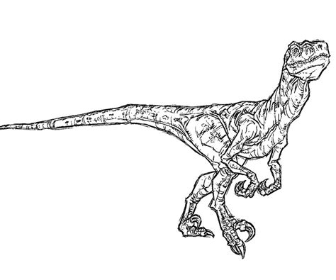 Jurassic Park 15889 Movies Free Printable Coloring Pages