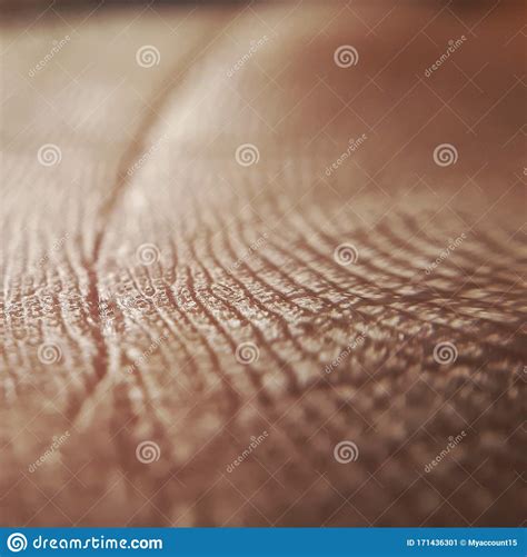 Texture Of Human Skin Extreme Close Up Macro Stock Image Image Of