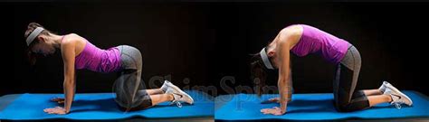 Allow your head to fall towards your chest, maintaining alignment with the spine. Cat and Camel Stretch - ShimSpine