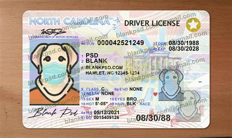 Nc Drivers License Template New V1 Blank Psd