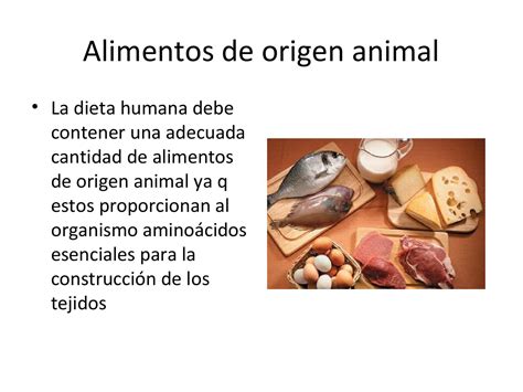 Alimentos de origen animal by Annita Tingo - Issuu