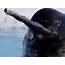 5 Interesting Narwhal Facts