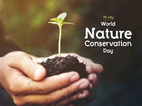 World Nature Conservation Day 2021: Know date, significance and 5 ways ...