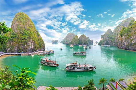 Ha Long Bay Cruises Everything You Need To Know About Cruising In Ha