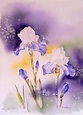 Watercolor Flowers Painting | Stunning Floral Artwork