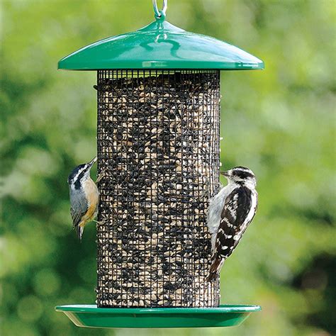 Here is a small sampling of baby songbirds. Duncraft.com: Seed Screen Bird Feeder