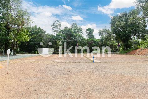 Valuable Land Sale Panadura Ikman