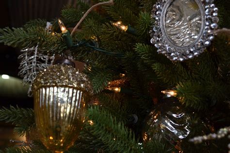 Oakland Nursery - Shop now and beat the Holiday rush!!!...