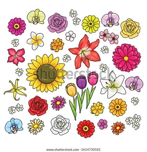 Illustration Various Cute Cartoon Flowers Stock Vector Royalty Free