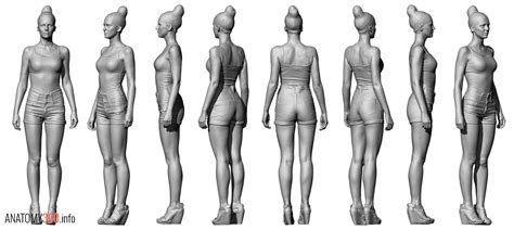 Female Body Reference Anatomy 360