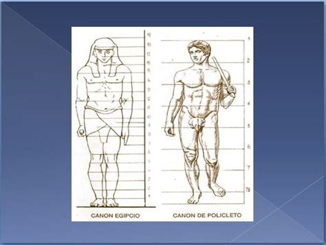 An Image Of A Man S Body And His Measurements