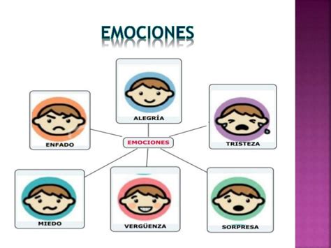 ¿qué Son Las Emociones Tipos Características Y Funciones