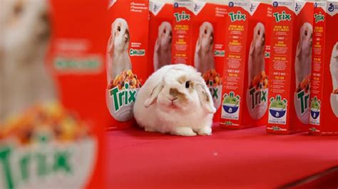 Trixs New Mascot Beat Out Thousands Of Silly Rabbits For The Role Wset